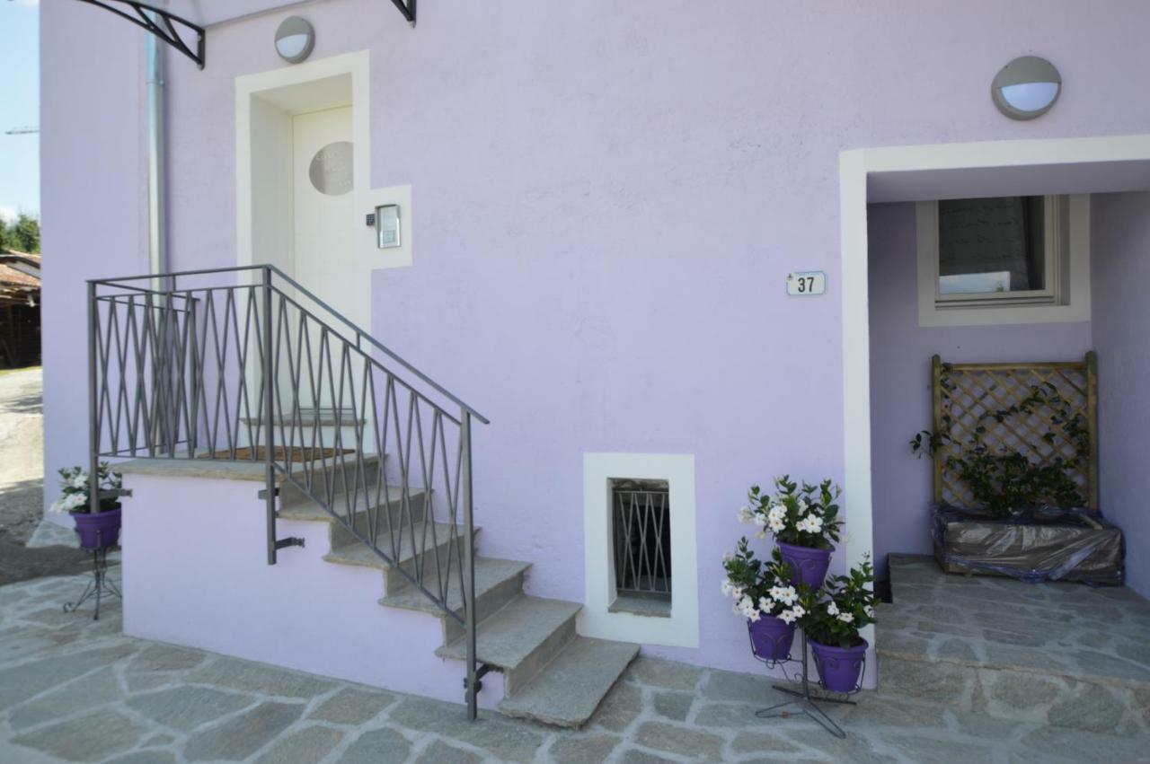 Casa Delle Corti Apartment Колико Екстериор снимка